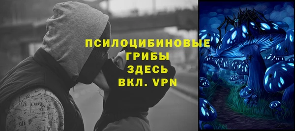 гашик Алзамай