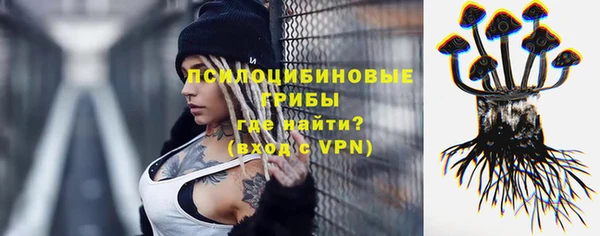 гашик Алзамай