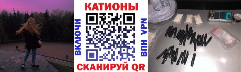 МЯУ-МЯУ мяу мяу Новочеркасск